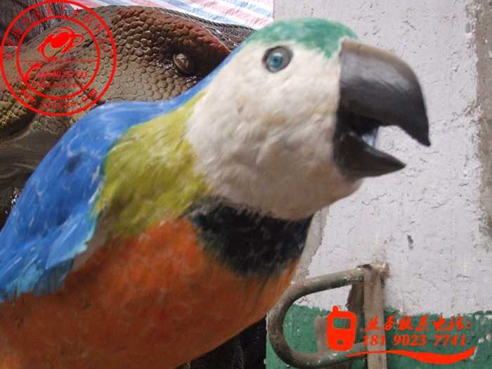 (dng)